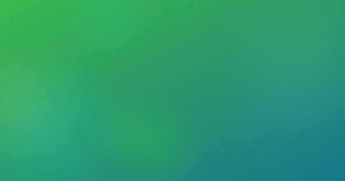 美好的时光测评：避坑流程